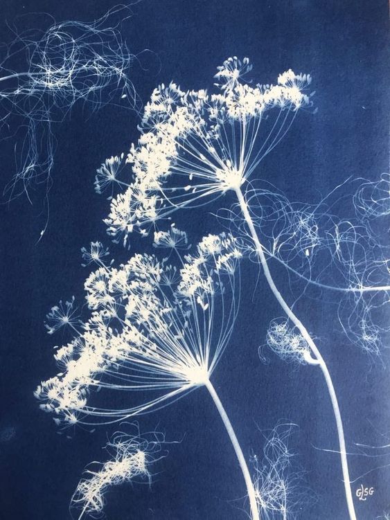 Floral X-Ray in Blue